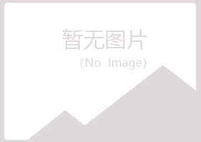 伊春西林山柏机械有限公司